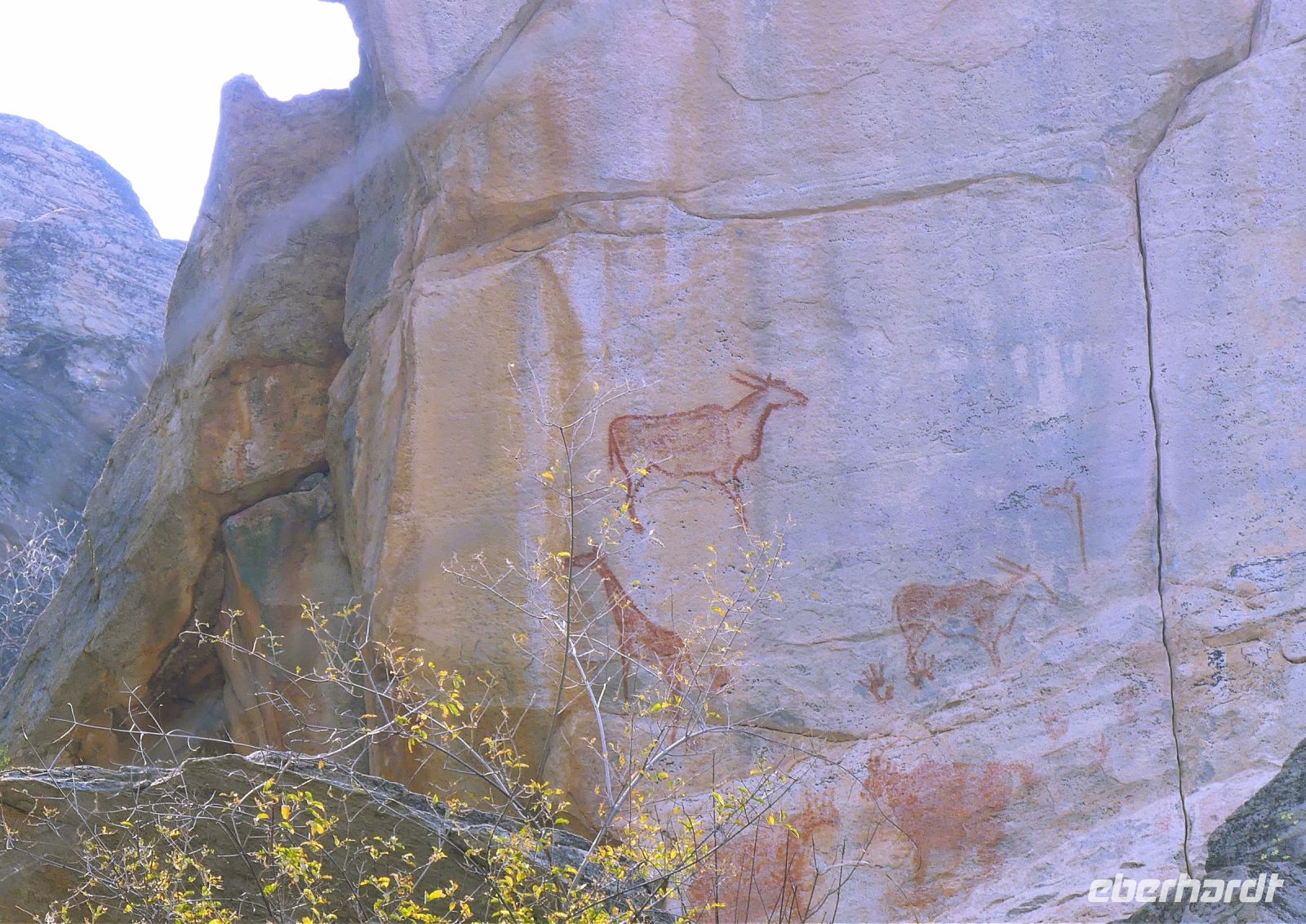 Reisetipp: Tsodilo – „Louvre der Wüste“ in Botswana